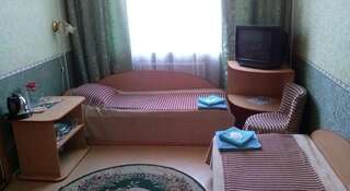 Гостиница Горняк Иркутск Стандартный двухместный номер с 2 отдельными кроватями-3
